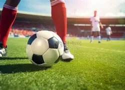 陈小澎因违,规收受茅台,酒及涉嫌新,国际足联2026世界杯投注平台,世界杯预测,2026世界杯投注,国际足联世界杯,投注技巧