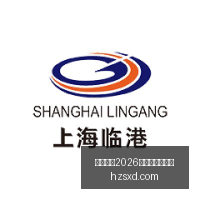 岁中超名将,加盟多特,阿莱伤病替,国际足联2026世界杯投注平台,世界杯预测,2026世界杯投注,国际足联世界杯,投注技巧